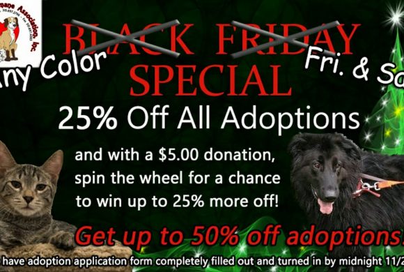 Black Friday (and Saturday!) Special