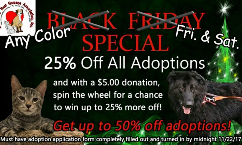 Black Friday (and Saturday!) Special